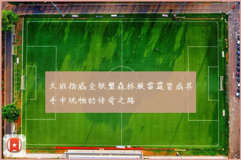 文班扬威全联盟森林狼雷霆皆成其手中玩物的传奇之路