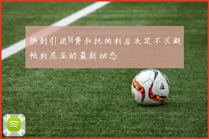 热刺引进M费和托纳利后决定不买断帕利尼亚的最新动态