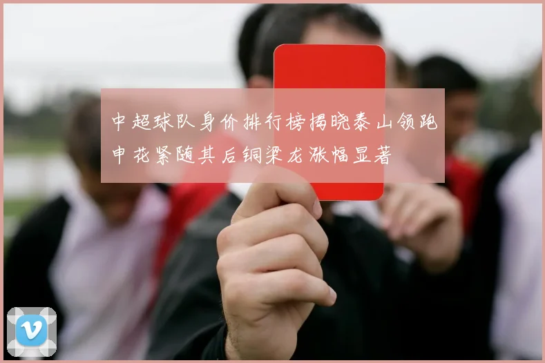 中超球队身价排行榜揭晓泰山领跑申花紧随其后铜梁龙涨幅显著