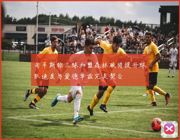 考辛斯称三球加盟森林狼将提升球队速度与爱德华兹完美契合
