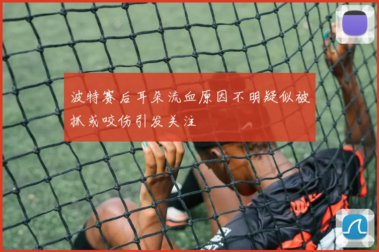 波特赛后耳朵流血原因不明疑似被抓或咬伤引发关注